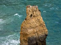 Felszahn in der Brandung